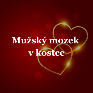 mužský mozek v kostce